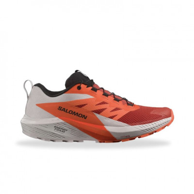 hardloopschoenen Salomon Sense Ride 5
