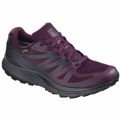  Salomon Sense Escape Goretex